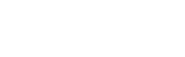 parkthecity.com